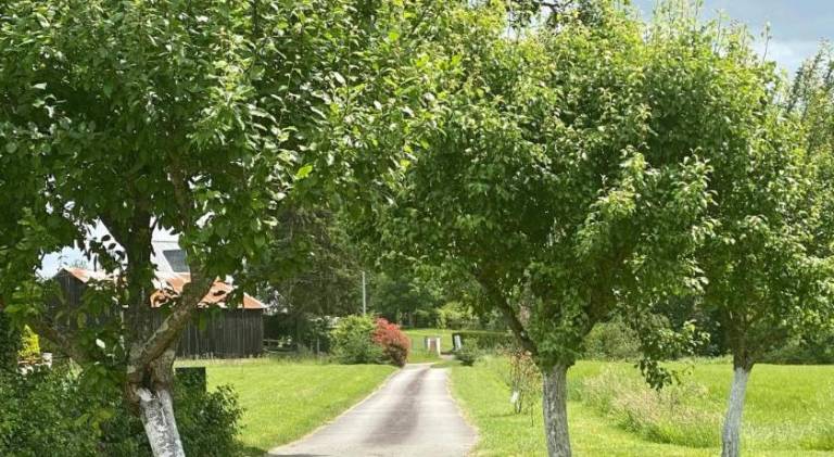 foto10