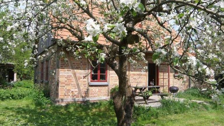 Ferienhaus Ulrichshusen