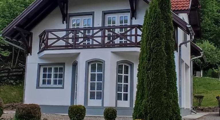 House Satu Mare