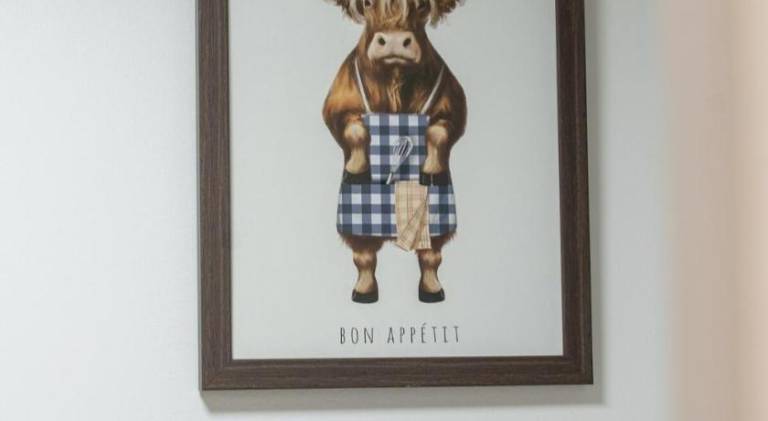 foto8