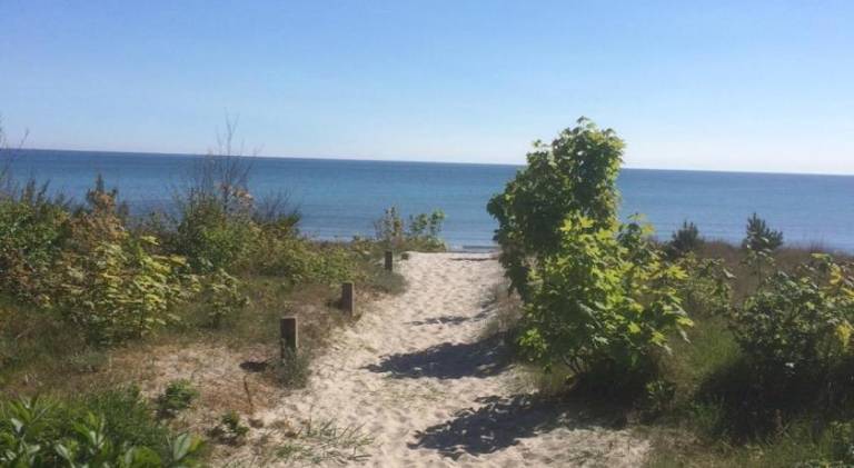 Pleasant holiday apartment | Close to the beach | Pets are welcome — photo 5
