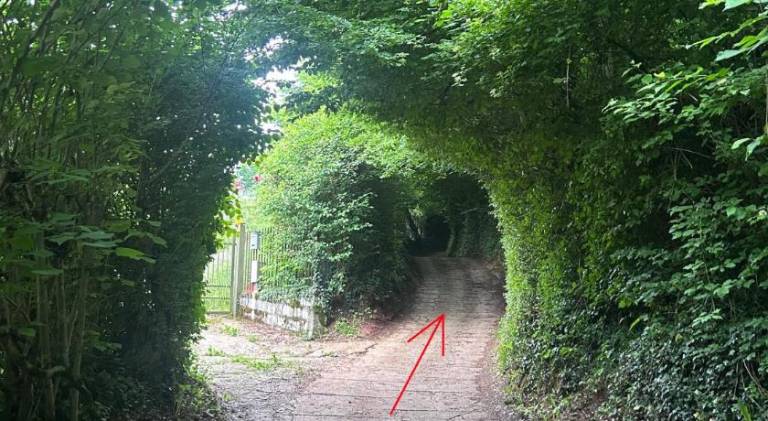 foto11