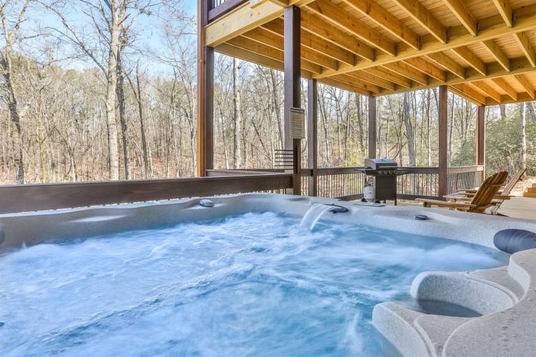 Cabin  Ellijay