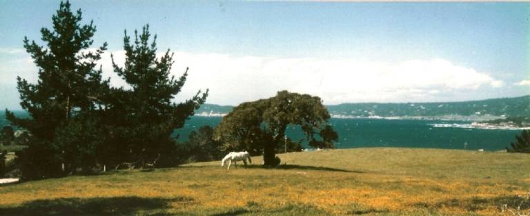House Carmel-by-the-Sea