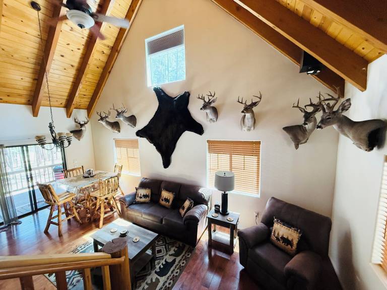 Cabin Alpine