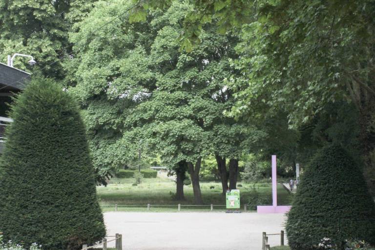 foto21