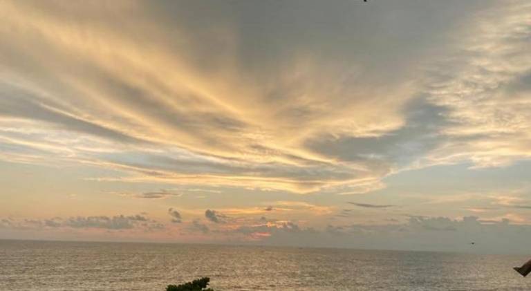 Pupa Homestay &Surf school — photo 3