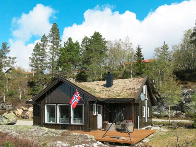 Feriehus Åseral