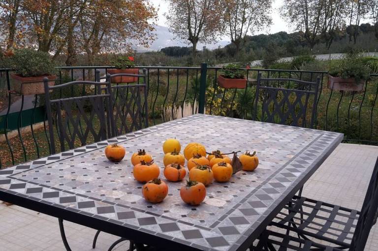 foto6