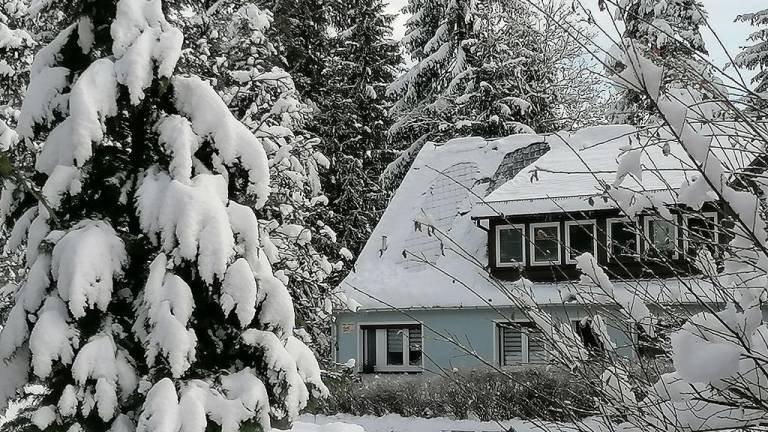 Ferienhaus Hundshübel