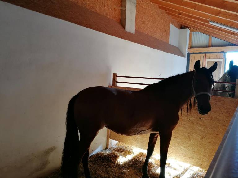 foto45