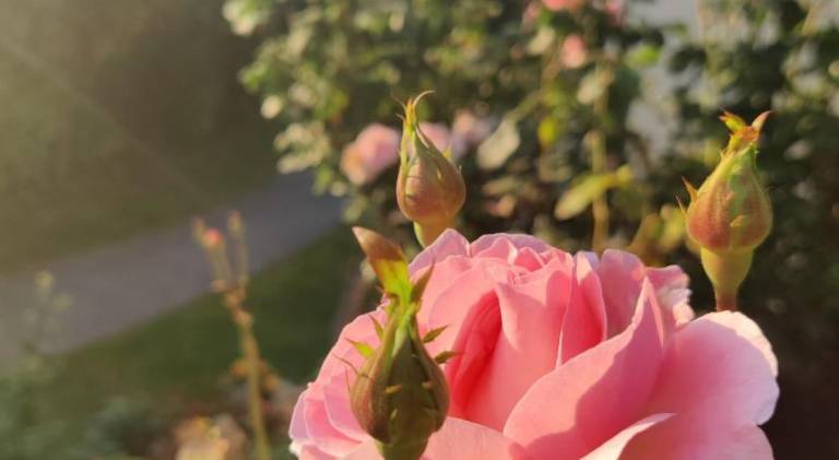 foto17