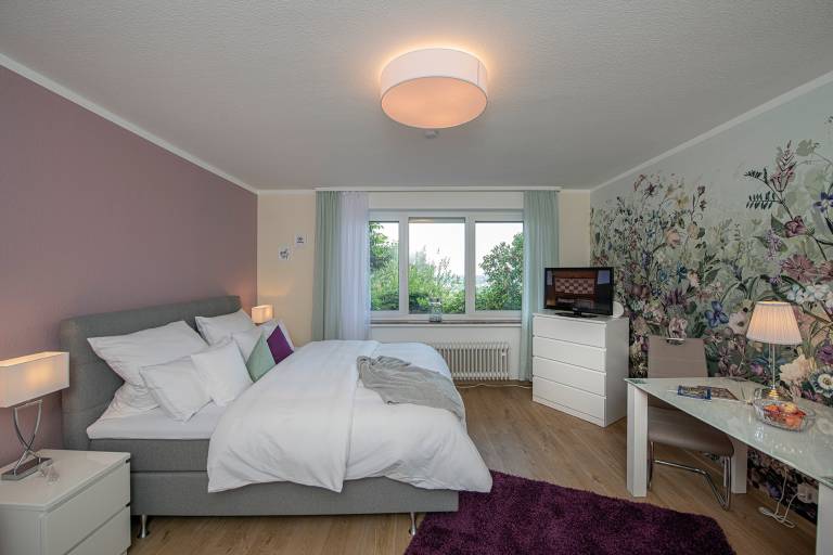 Apartment with fast internet | Garden view in Bühl