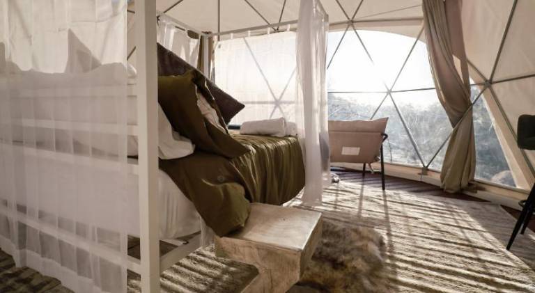 Tent | Pets are welcome — photo 2