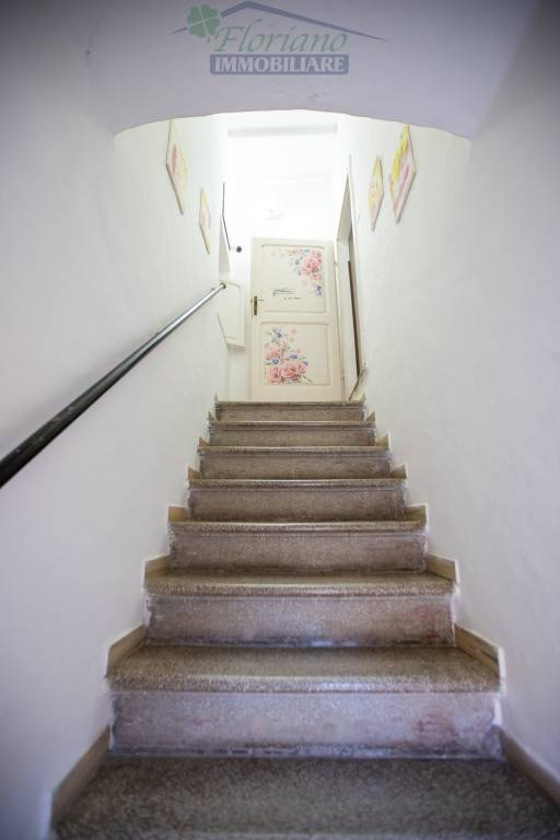 Holiday apartment | Dogs allowed — photo 3