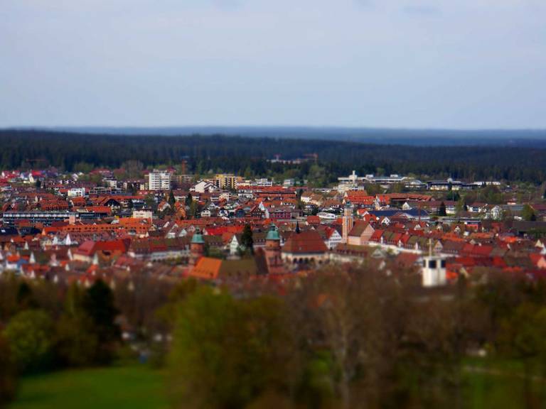 foto41