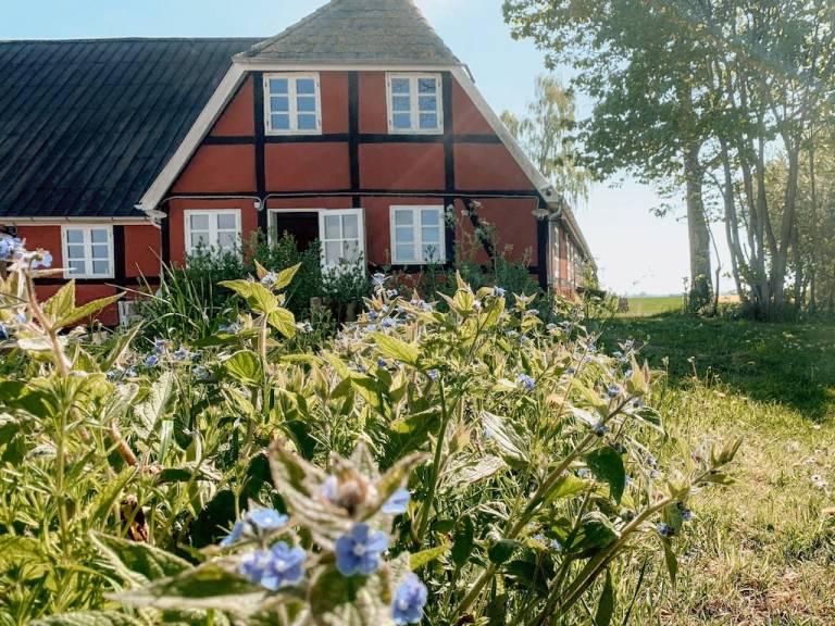 Bondegård Sakskøbing