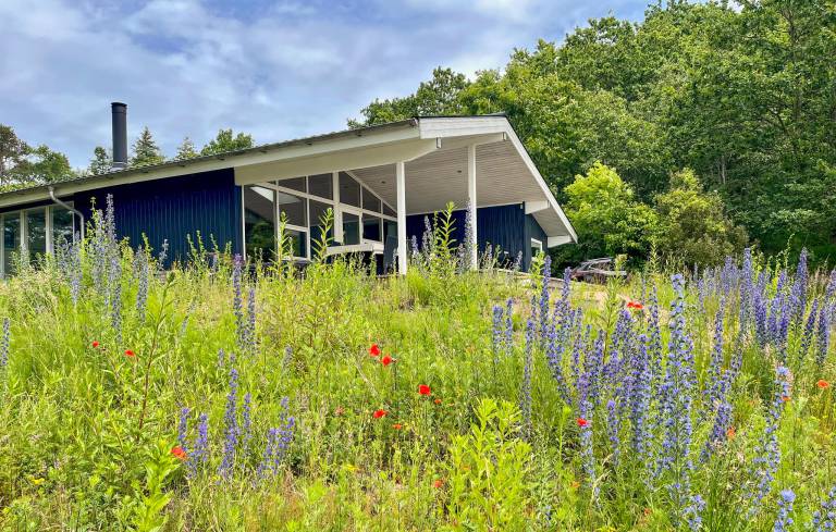 Ferienhaus in Knebel, Fuglsø f&uuml;r max. 6 Personen