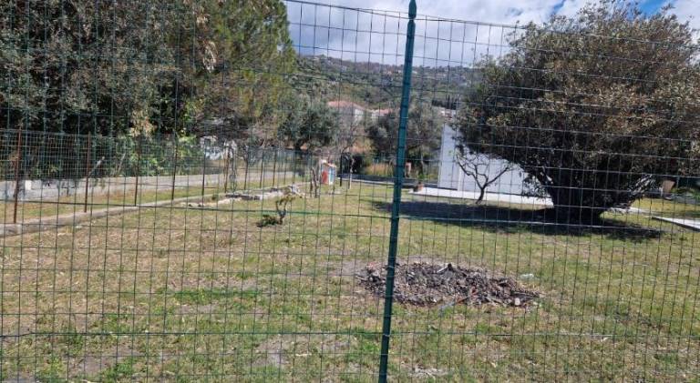 foto15
