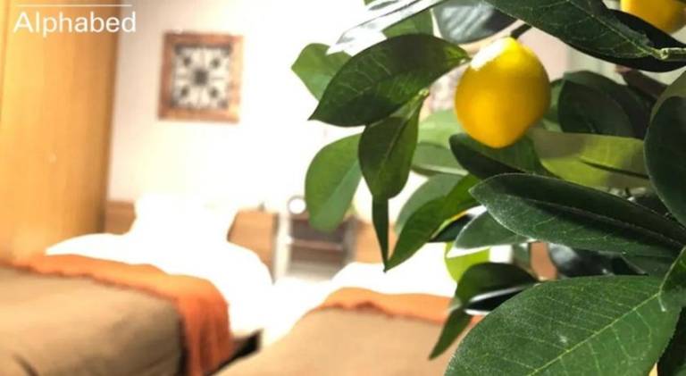 foto15