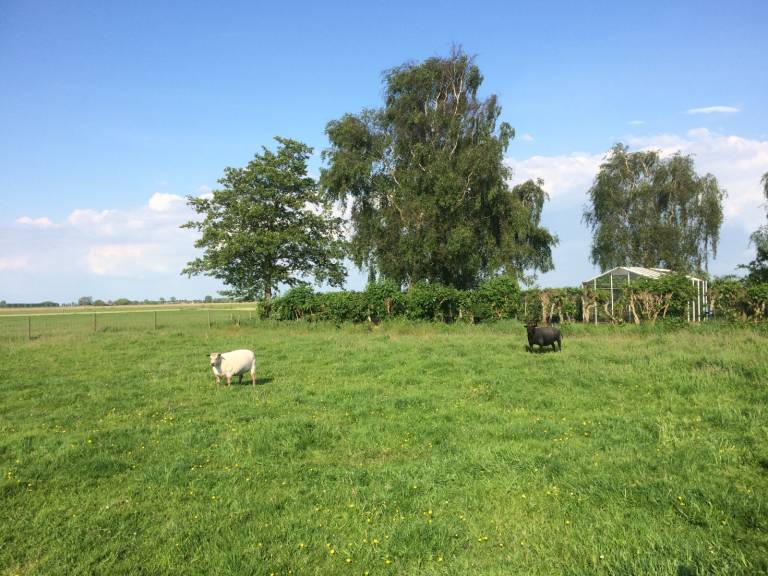 foto17
