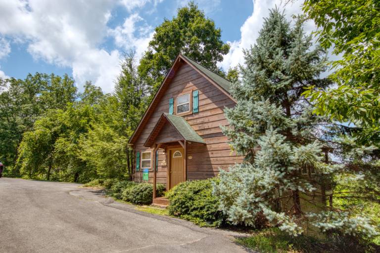 Mountain View Pool Table WiFi Pet Friendly Hot Tub in Sevierville, TN