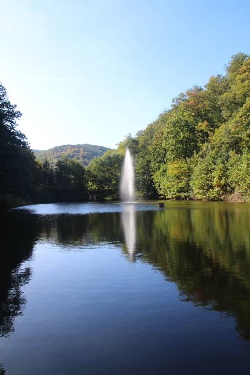 foto2