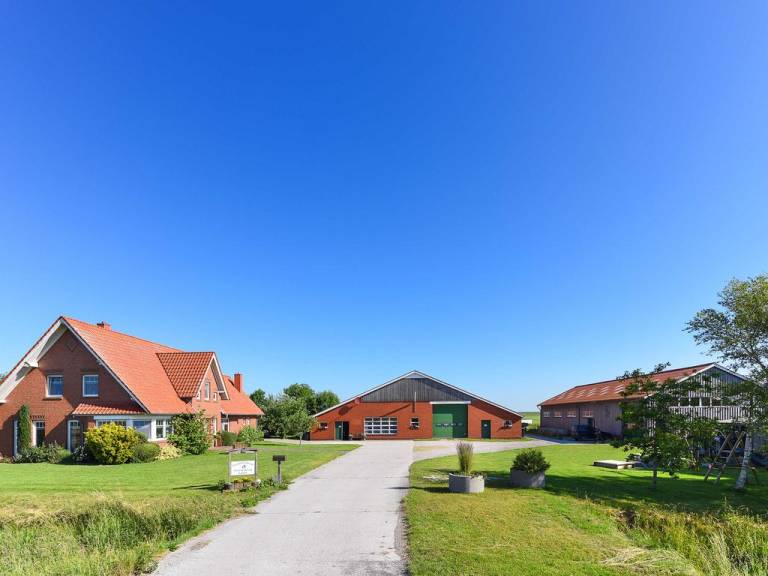 foto19