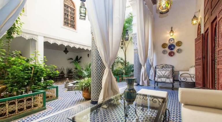 Riad Vega — photo 3
