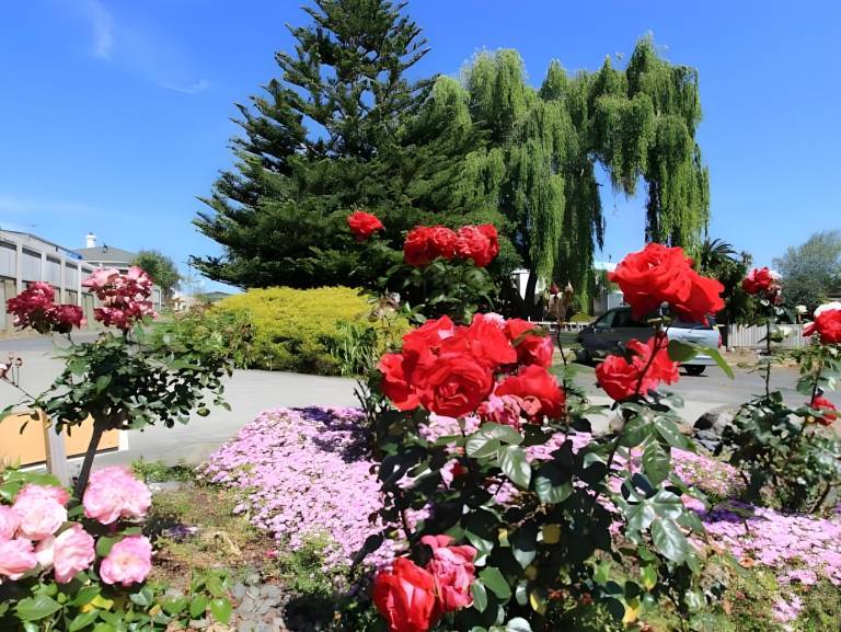 Waiuku Motel in Auckland