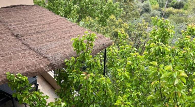 Vacation home with 2 rooms for 4 persons — photo 4