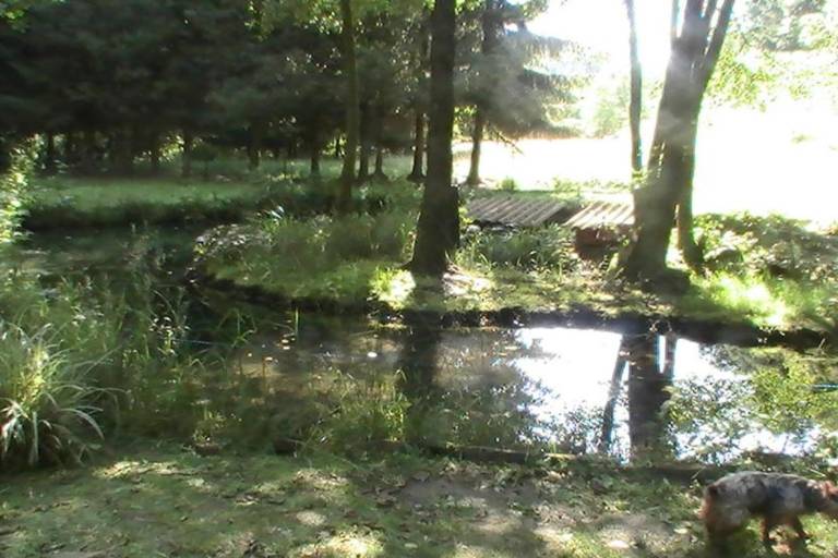 foto27