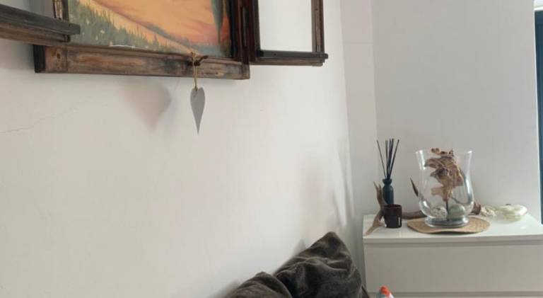Wonderful house | Pets are welcome — photo 2