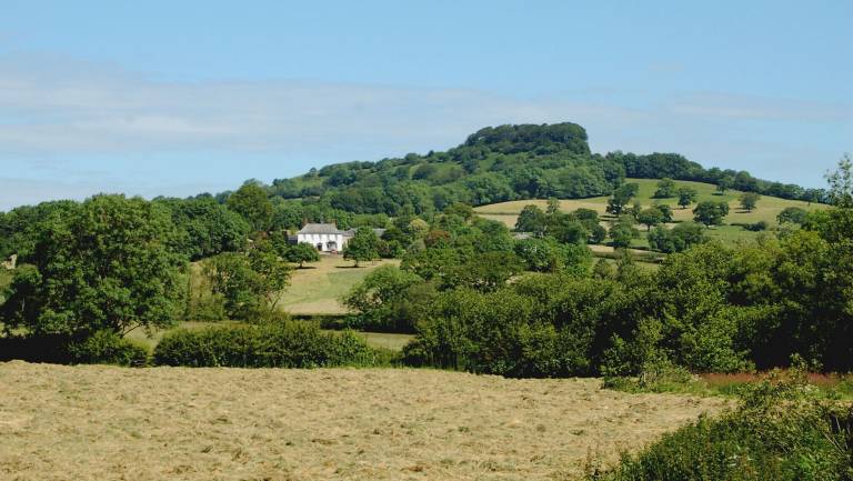 House Honiton
