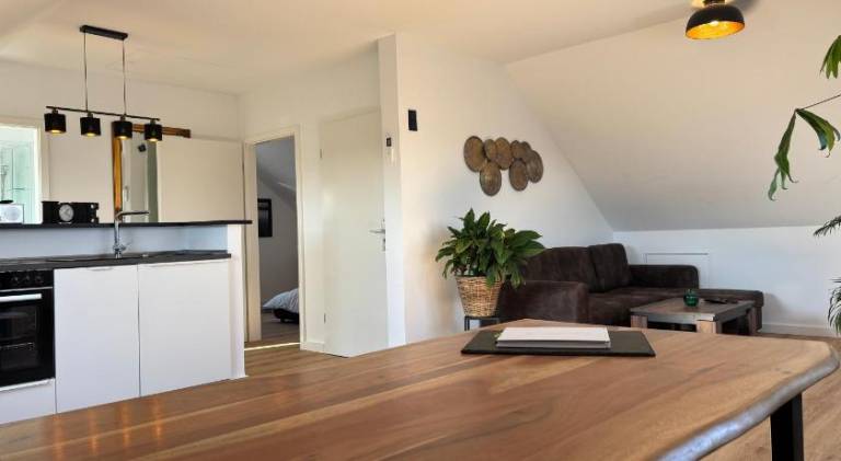 Apartment with 1 room for 4 persons — photo 4