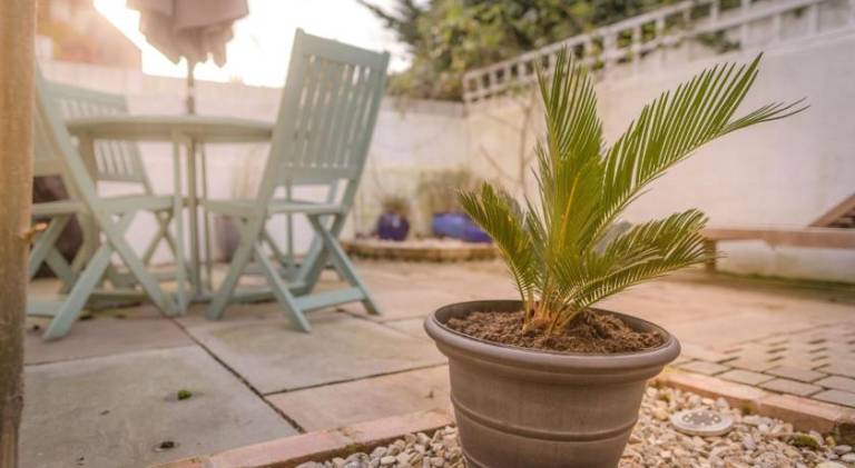 Rental apartment with garden — photo 4