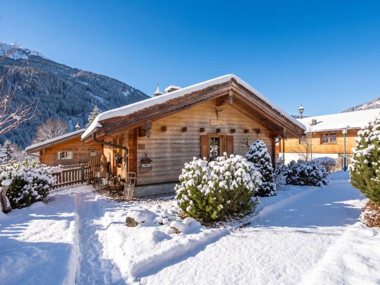 Ferienhaus in Wald im Pinzgau f&uuml;r max. 8 Personen