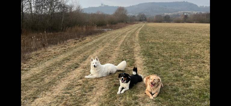 foto12