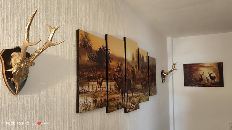 foto29