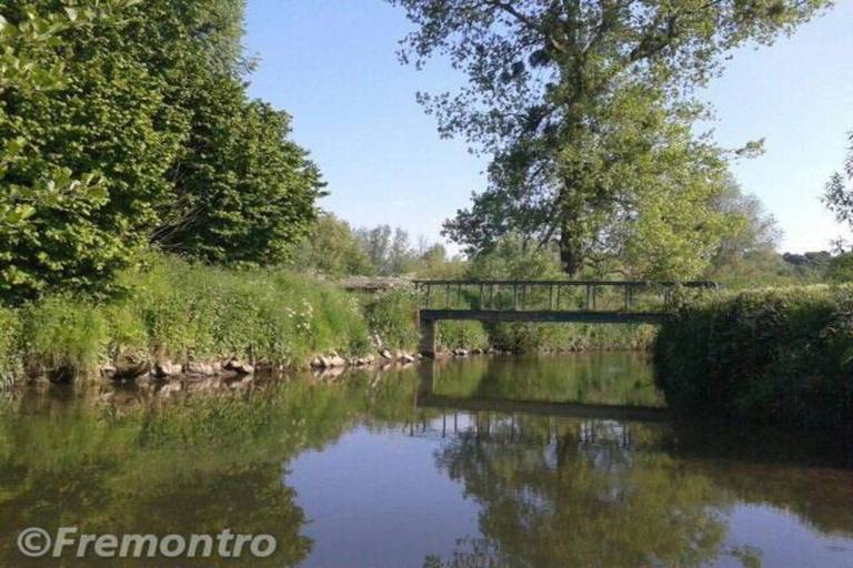 foto31