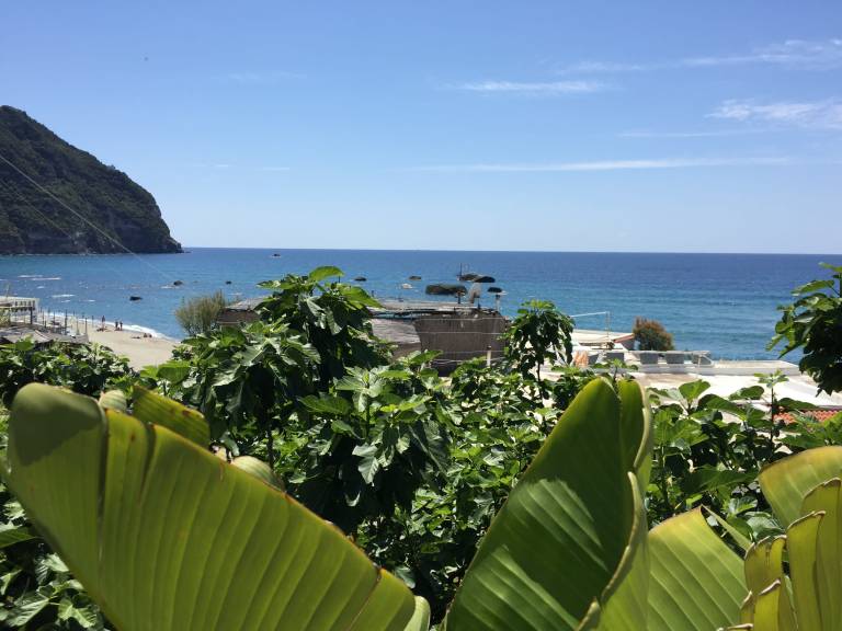 Family-oriented holiday apartment with terrace | Beach nearby | Pet-friendly — photo 3