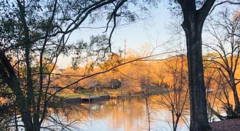Pleasant house | Pets are welcome in Lafayette, LA