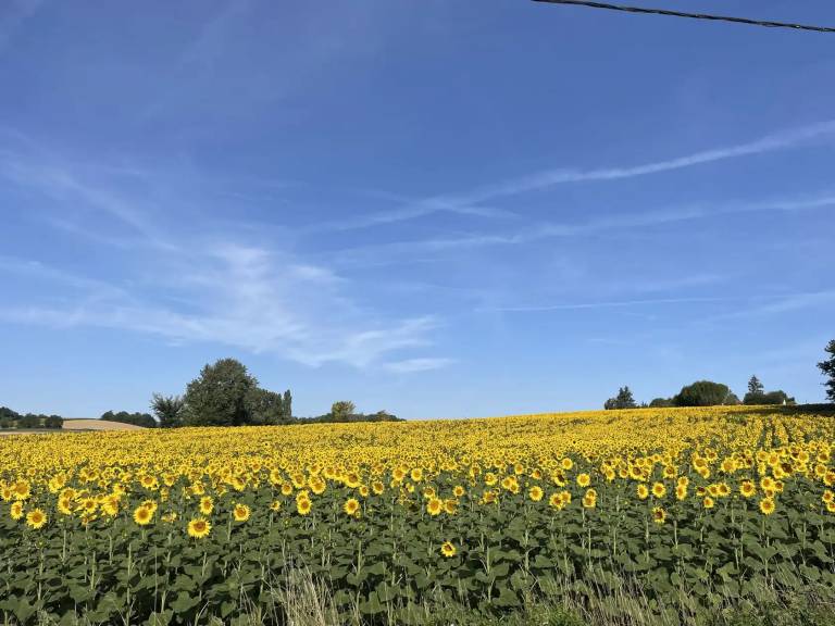 foto10
