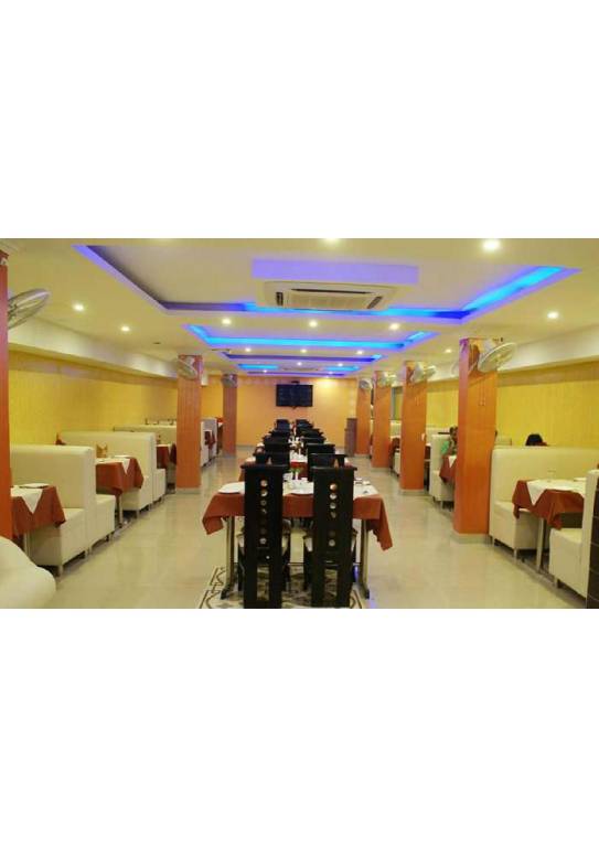 Hotel Prakash Palace — photo 4