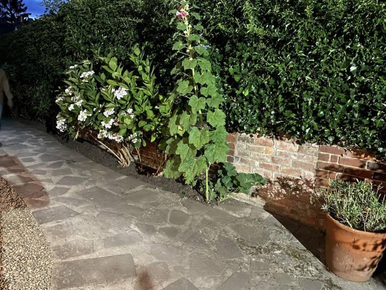 foto27