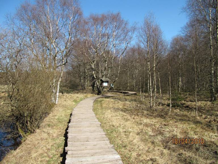 foto16