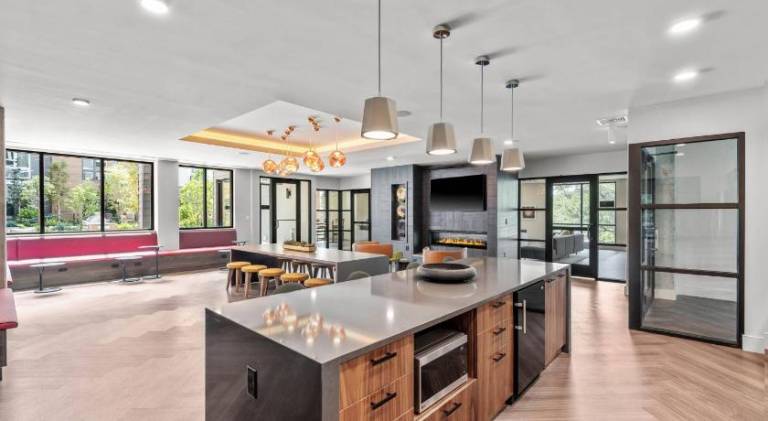 Luxury Apartments by Hyatus Boston Somerville — photo 5