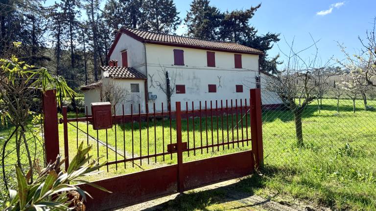 Villa with yard | Garden view — photo 3