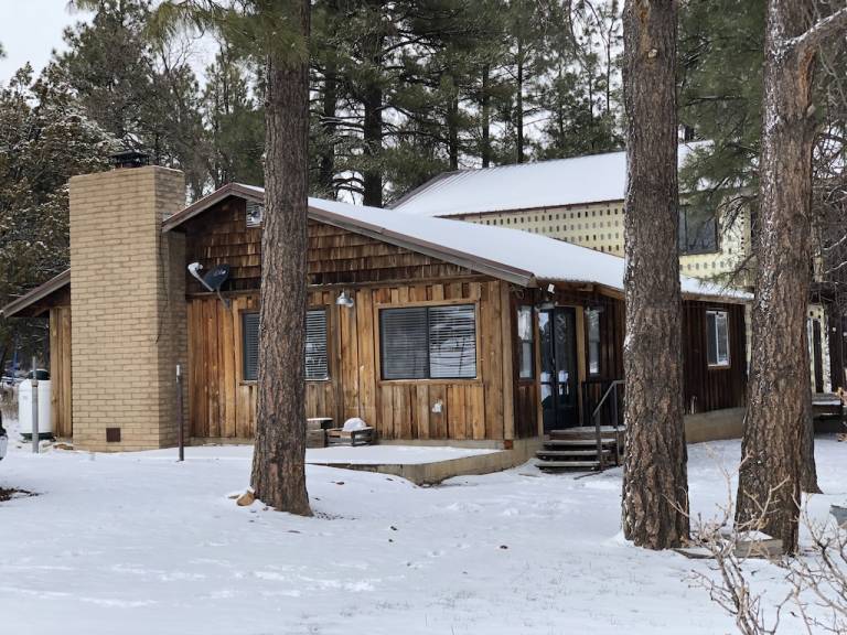 Cabin Show Low