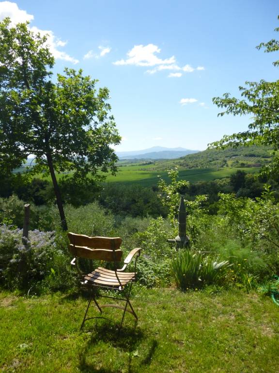 Family-oriented holiday apartment with yard, barbeque & private pool | Garden view | Dogs allowed — photo 4